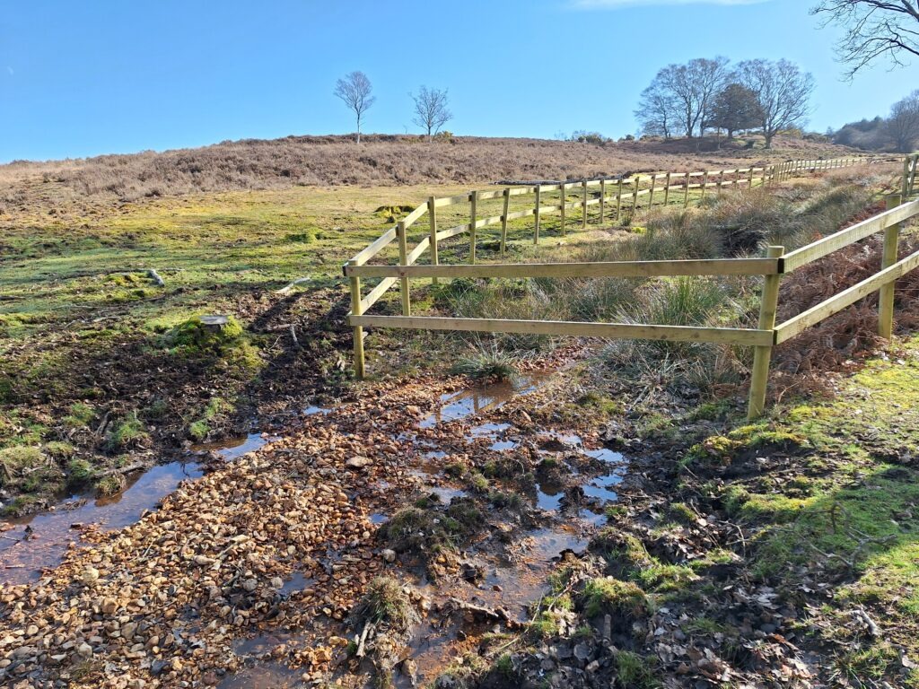 A muddy area surrounded by a fence