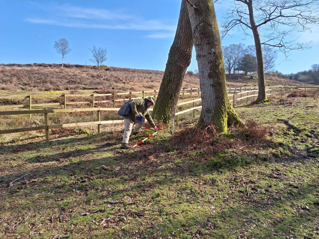 A man with a measuring stick in a woodland setting by a large tree