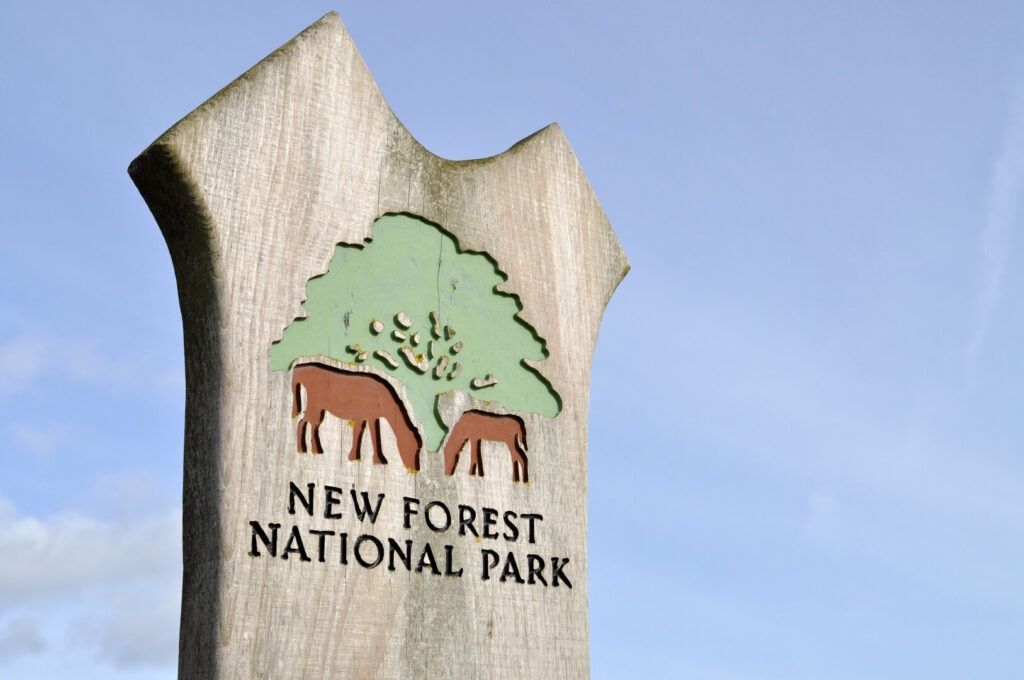 A sign with two ponies and a tree