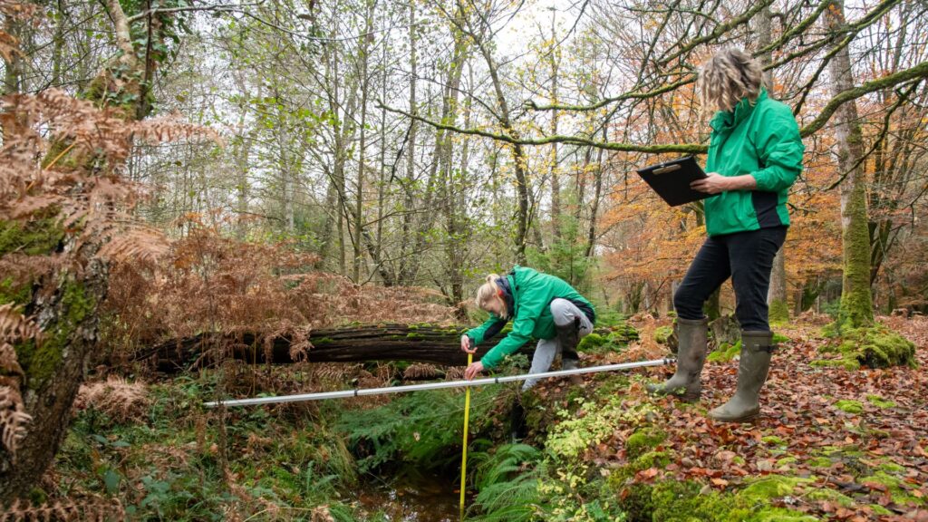 Two women in green tops working in woodland setting
