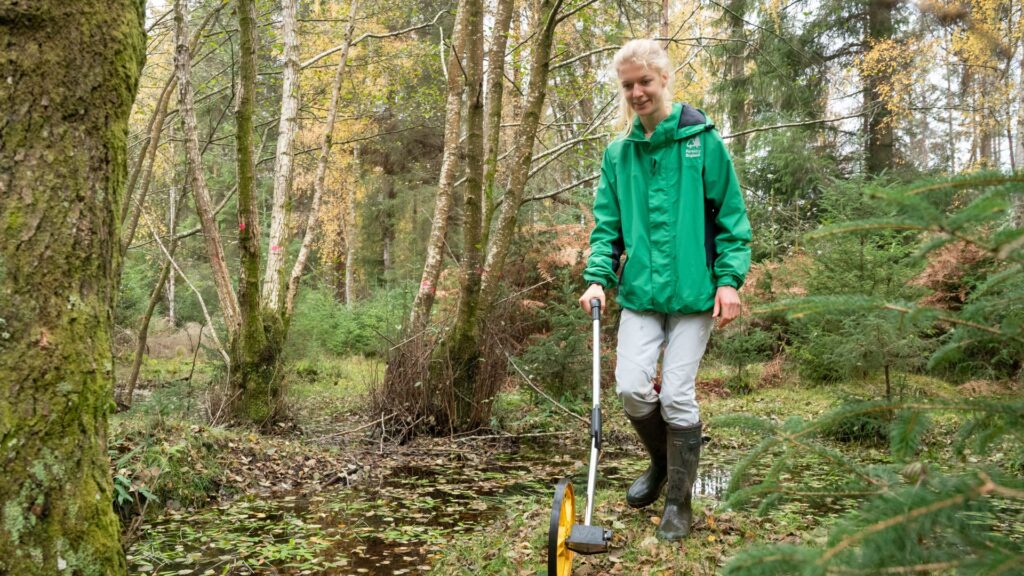 A woman in a green jacket with a measuring wheel in a woodland setting