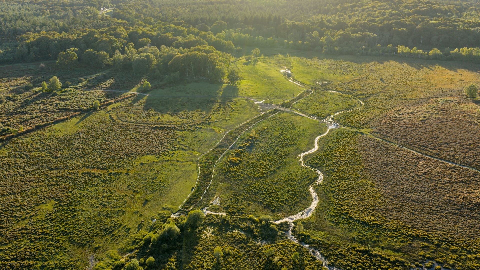 Aerial view of Penny Moor grassland and heath with a winding stream, footpaths and boardwalk, bordered by woodland in evening light