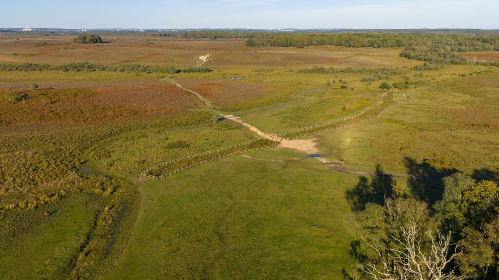 Vast grassland from above