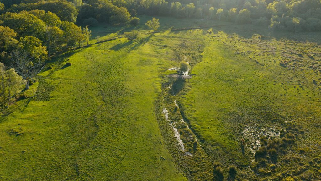 Vast greenland from above