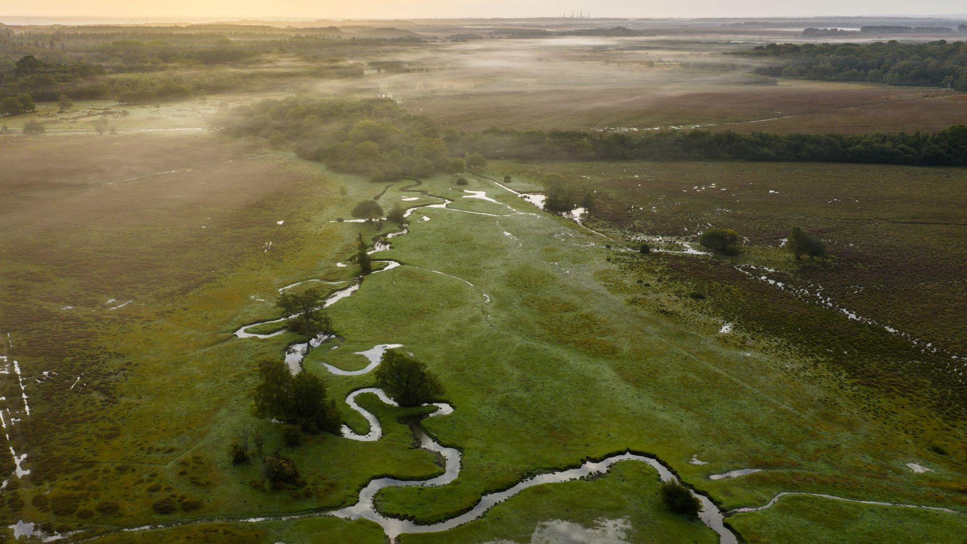 A stream running through grassland