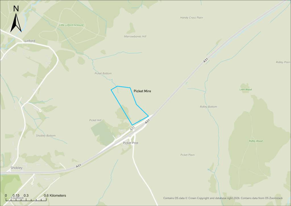 Map showing Picket Mire outlined in blue near Linford and Picket Post, beside the A31 road, with north arrow and scale in km