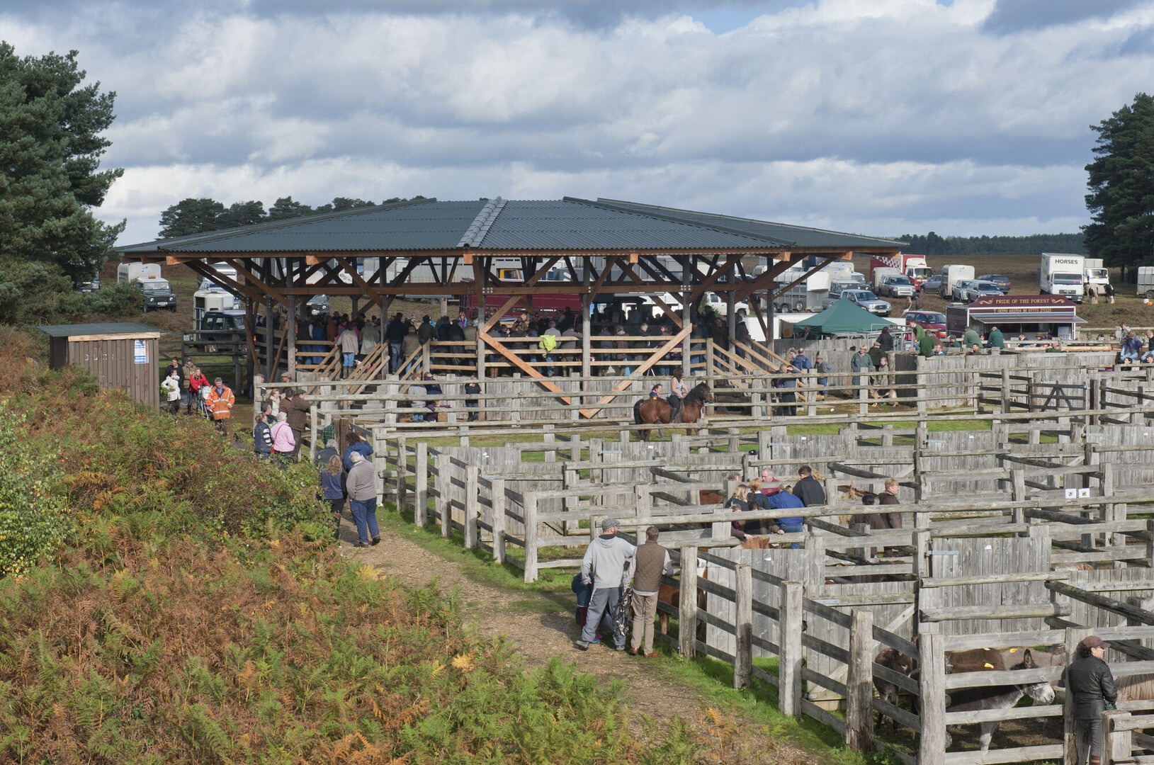 Beaulieu Road sale yard with wooden pens full of ponies, people browsing and bidding under an open-sided roofed ring