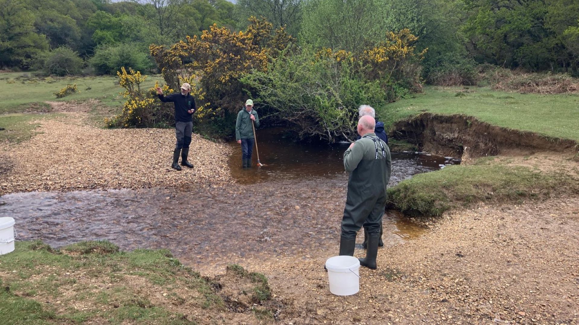 Volunteers in waders monitor a shallow stream, one using a net while others watch from the gravel bank with buckets